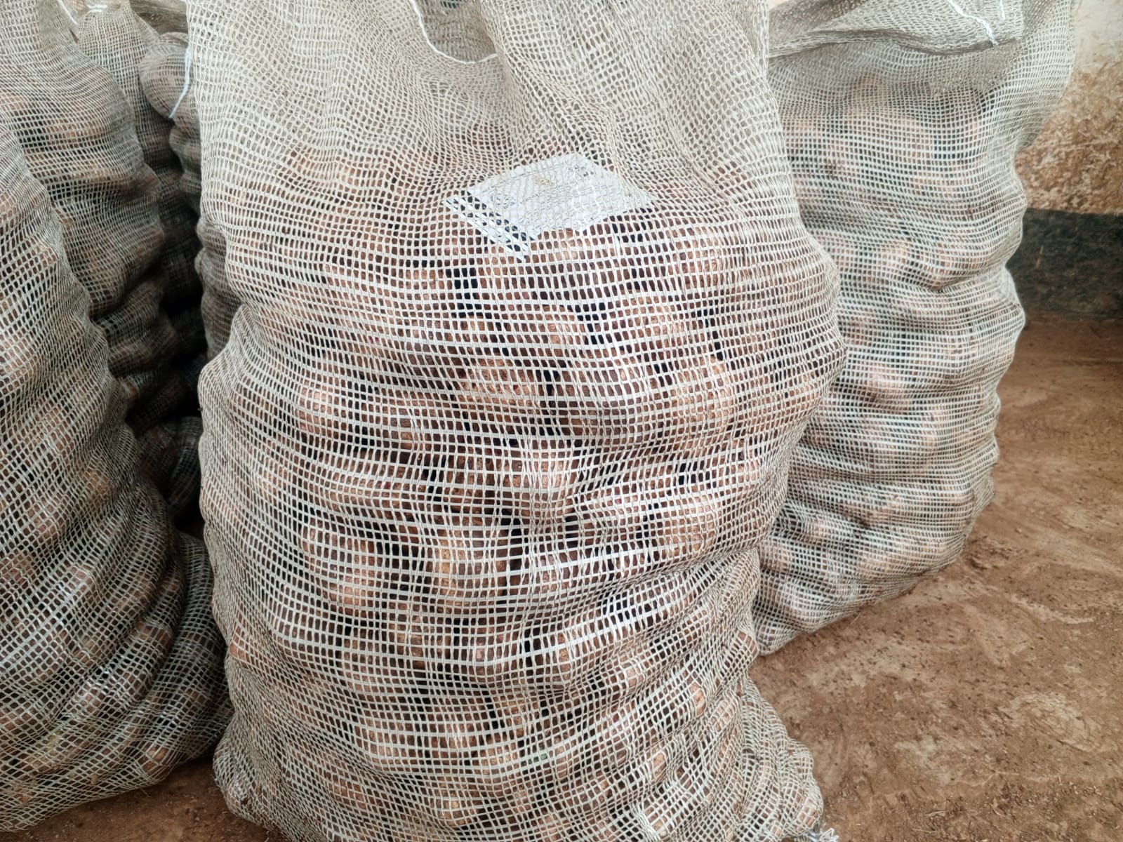 Wanjiku